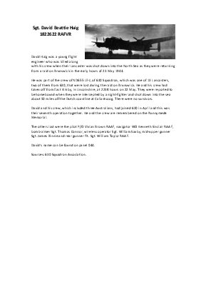 A preview of a PDF biography for Haig, David Beattie